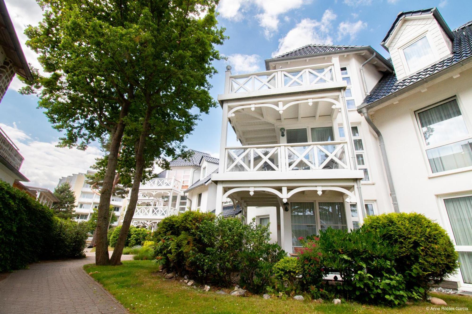Ringelblume Ostseebad Binz