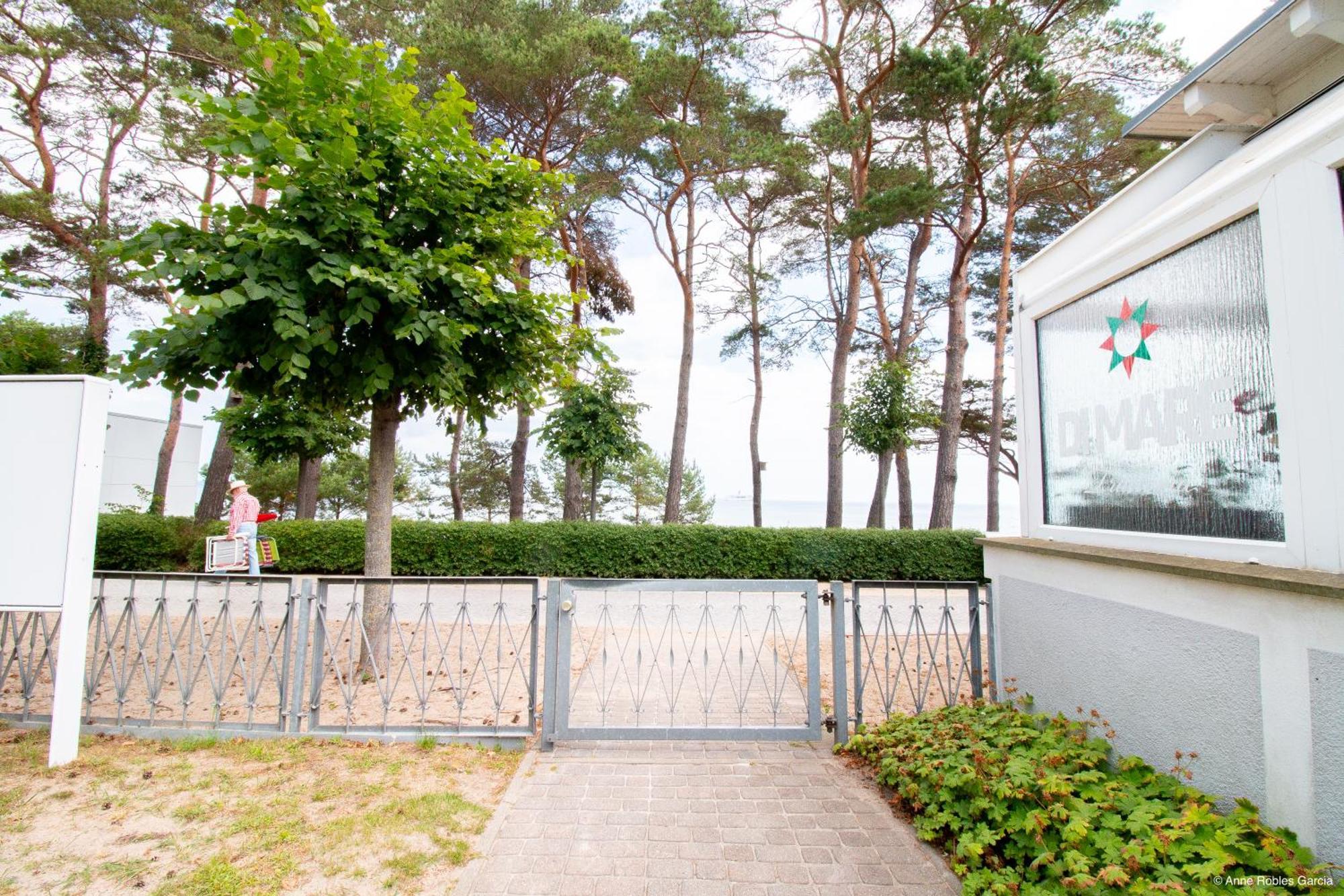 Ringelblume Ostseebad Binz