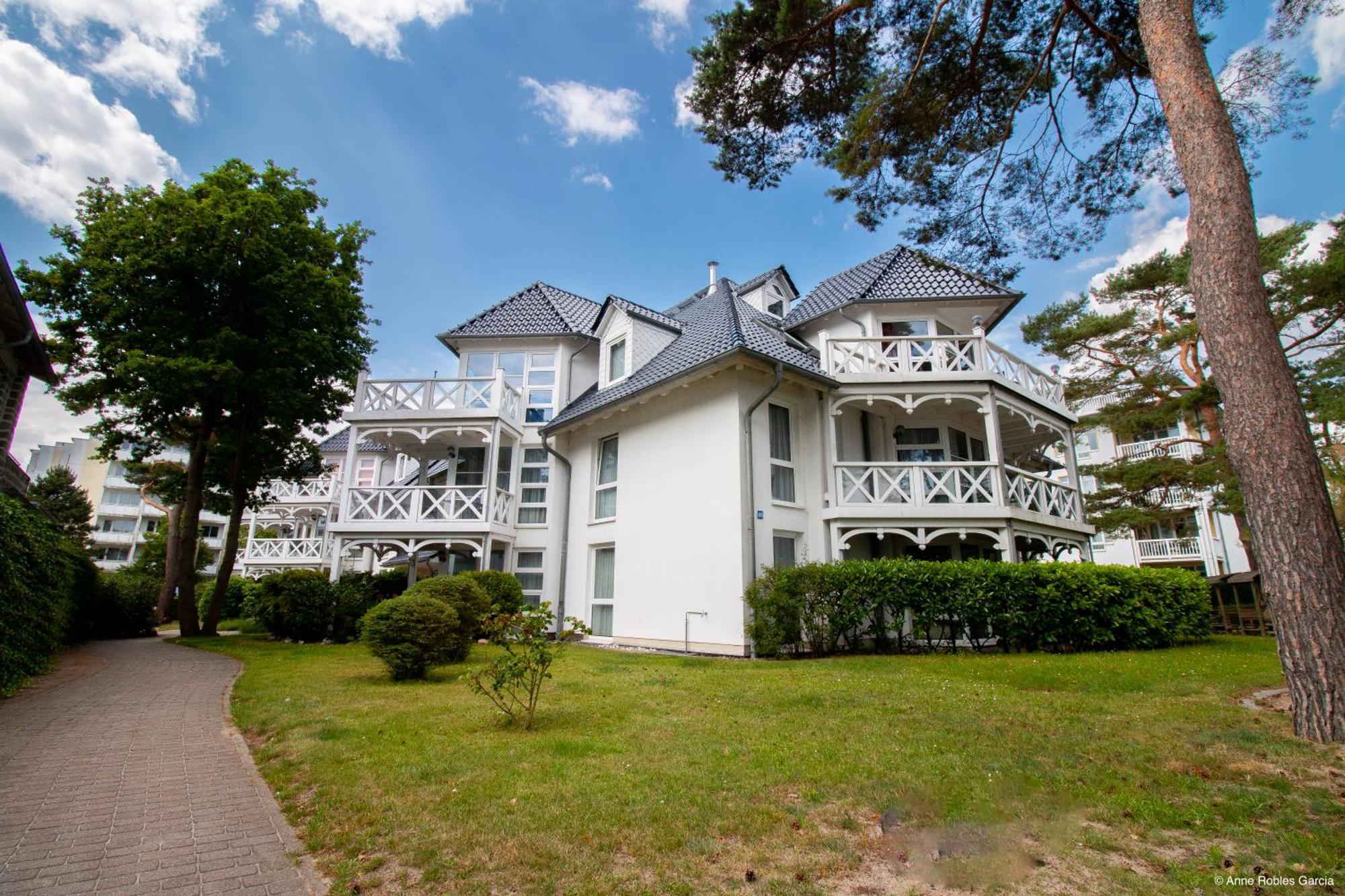 Ringelblume Ostseebad Binz