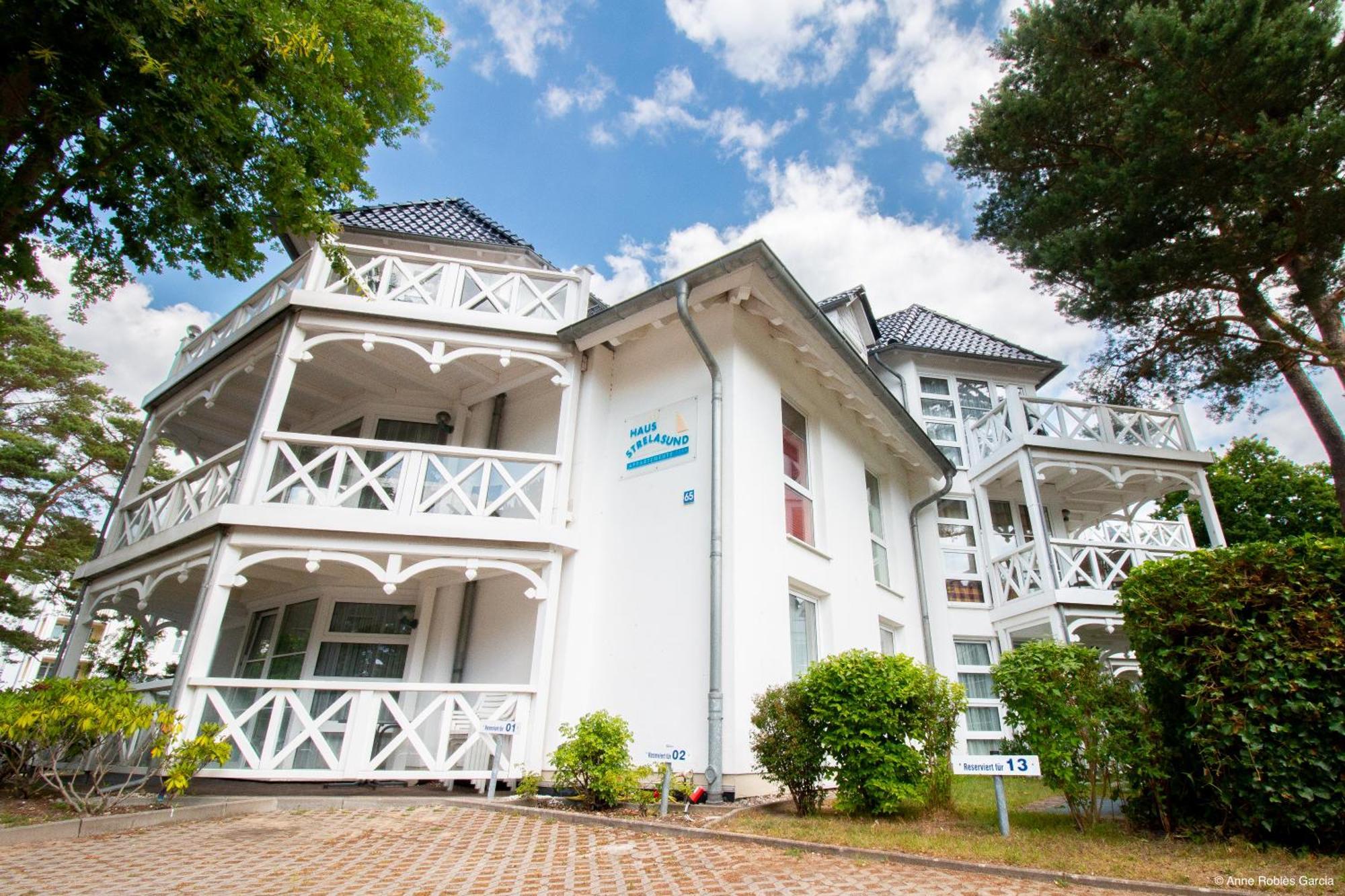 Ringelblume Ostseebad Binz